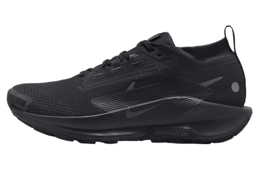 Nike Pegasus Trail 5 GORE-TEX Triple Black