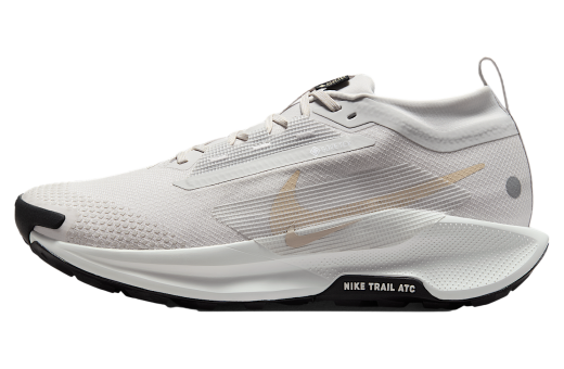Nike Pegasus Trail 5 Gore-Tex Vast Grey / Summit White - Jun