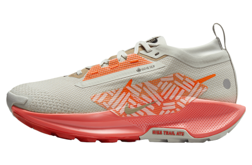 Nike Pegasus Trail 5 Gore-Tex WMNS Light Silver / Light Wild Mango