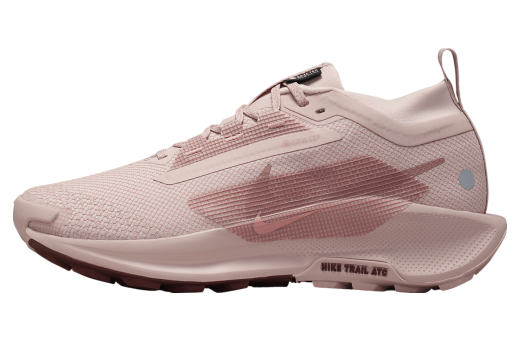 Nike Pegasus Trail 5 Gore-Tex WMNS Pink Oxford / Red Sepia