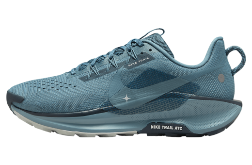 Nike Pegasus Trail 5 Smokey Blue / Light Silver