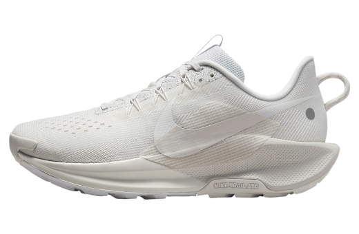 Nike Pegasus Trail 5 Summit White / Light Orewood Brown