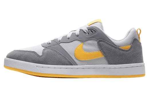 Nike SB Alleyoop Particle Grey / Photon Dust