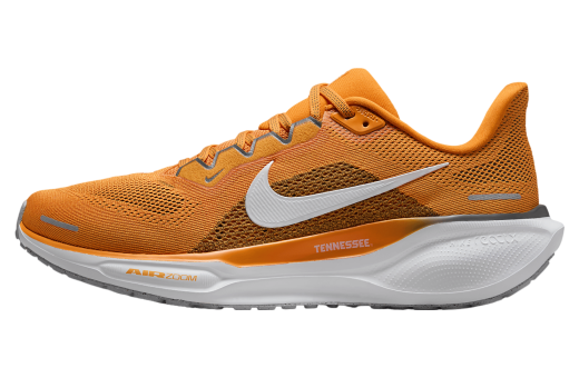 Nike Tennessee Pegasus 41 Bright Ceramic / White