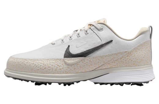 NIKE Air Zoom Victory Tour 4 ナイキゴルフ Nike Victory Tour 4 Golf Photon Dust / Smokey Blue - Mar