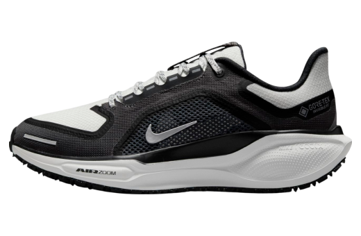 Nike Wmns Air Zoom Pegasus 41 GTX Black / Anthracite