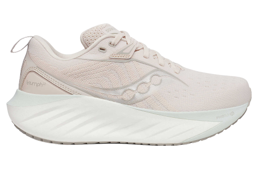 Saucony Triumph 22 WMNS Moon